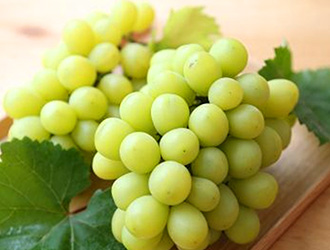 岡山ぶどう食べ放題フェア