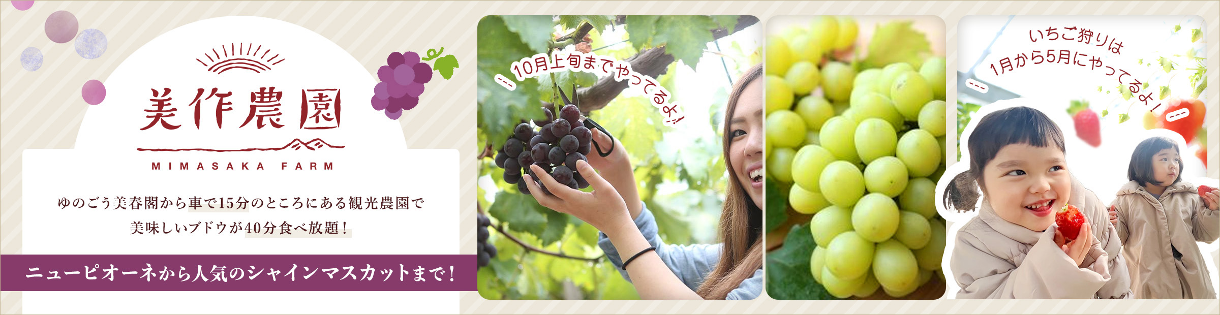 40分間いちごが食べ放題！美作農園